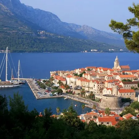 Fig Tree - Korcula Pupnat